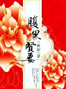 腹黑贤妻TXT