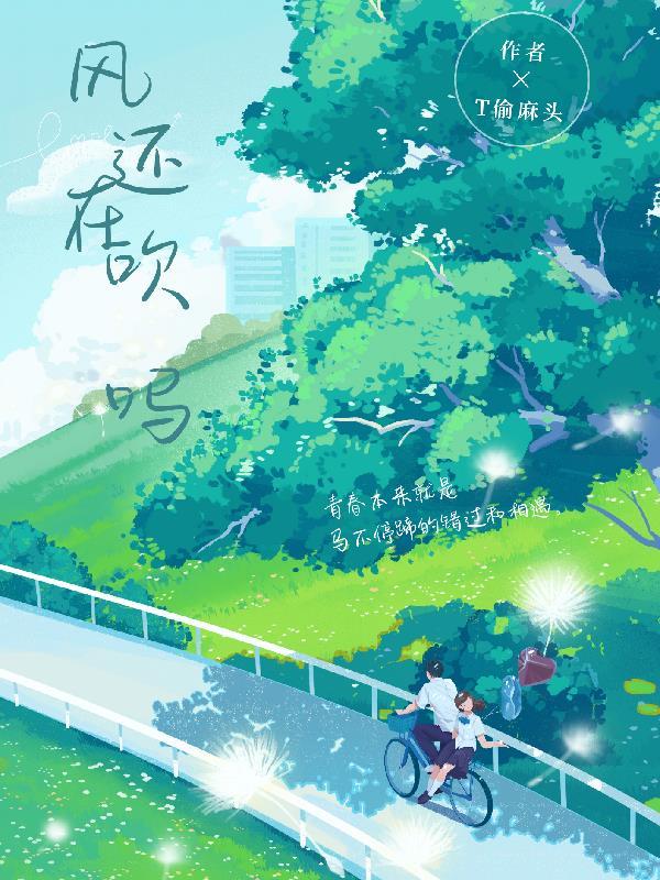 风还在吹吗文件