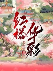 红楼华彩TXT免费全本