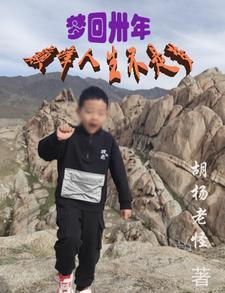 梦回巅峰的名词解释