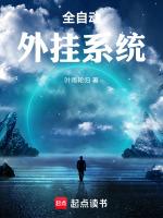 全自动化挂机项目