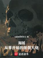 海贼从匪帮大佬到海军元帅