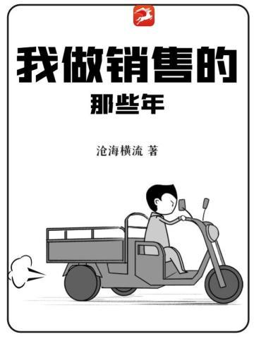 我做销售的那些年无删减