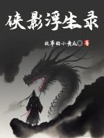浮世侠影mud攻略