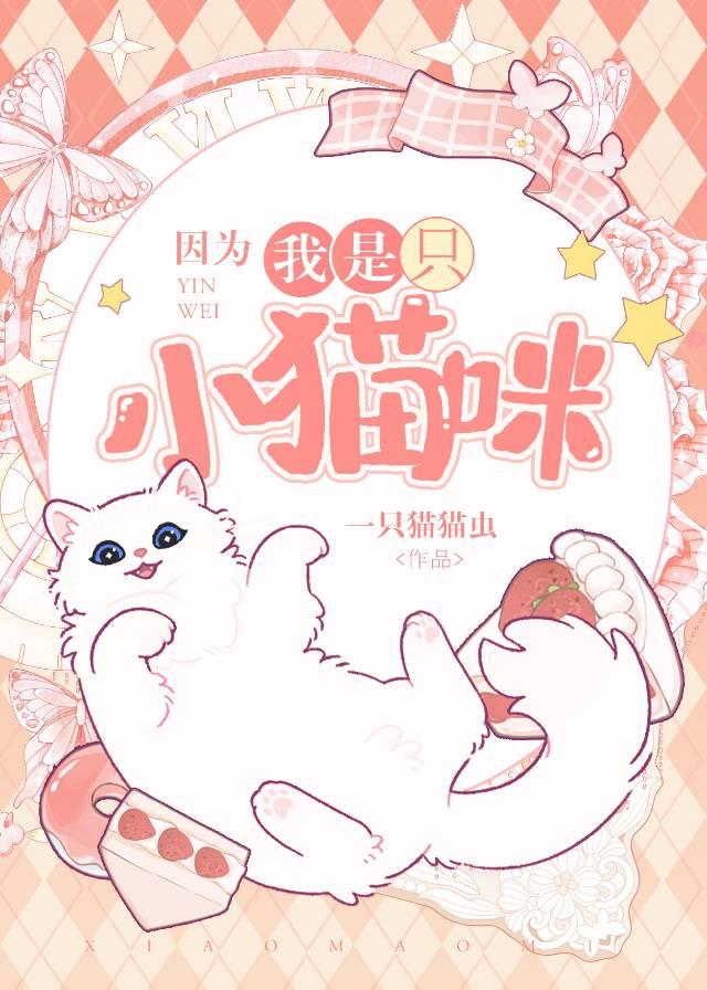 因为我是一只小白兔梗
