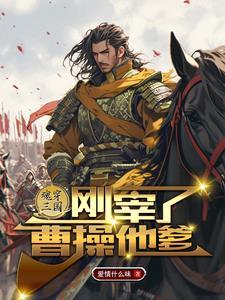 带系统穿越到三国的完结