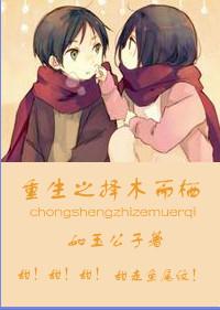 择木而栖晋江
