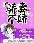 娇妻不好追秦璇