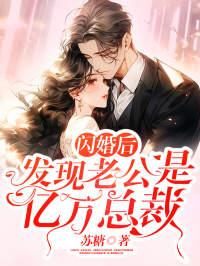 闪婚丈夫是公司总裁的
