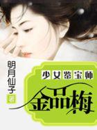 金品梅少女鉴宝师 百度