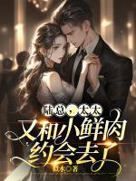 林湘陆时晏全文免费阅读