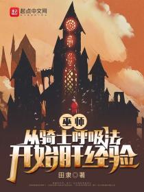 巫师骑士类的