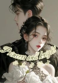 公主与骑士故事