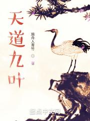 天道九圣人