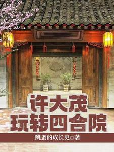 四合院我许大茂的悠闲生活