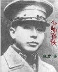 少帅春秋歌曲原唱