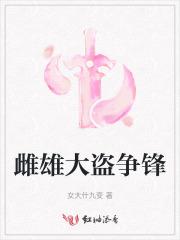 电视剧雌雄大盗