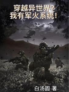 我有军火库穿越古代