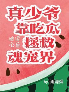 少爷完美