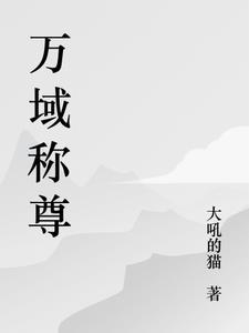 万域天尊顶点
