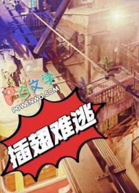 插翅难逃电视剧未删减