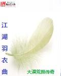 大江湖羽衣线详细介绍