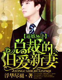 三十六计总裁的旧爱新妻免费阅读