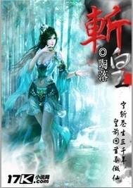 斩黄袍剧情简介详细