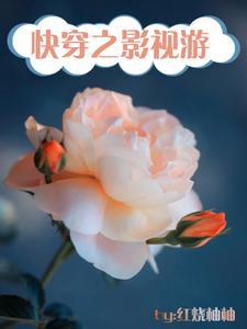 快穿之影视游从南来北往开始作者红烧柚柚