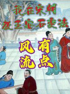 王安石变法之后的宋朝