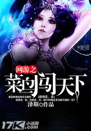 网游之菜鸟江湖免费阅读