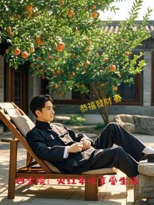 四合院火红年代享受生活TXT