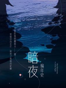 暗夜编年史DarK公司信息