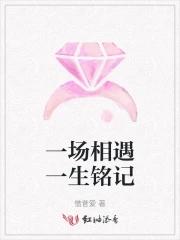 一场相遇一生铭记今生注定我放不下你是什么歌