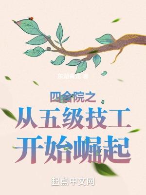 四合院之从五级技工开始崛起全文免费阅读