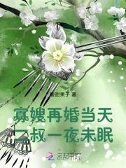 寡嫂2共有多少章