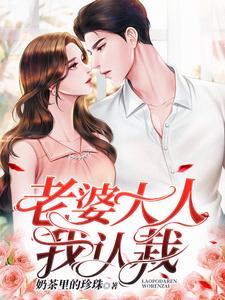 老婆大人我冷gl