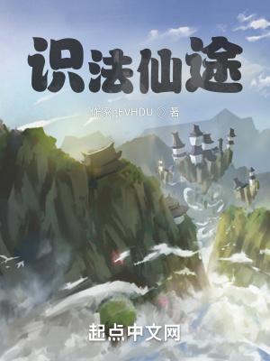 识法仙途简介