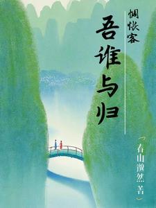 惆怅客什么意思