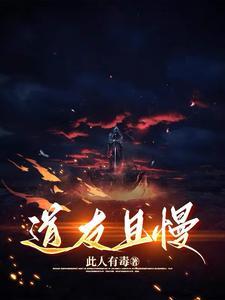 道友且慢走的