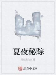 夏夜的秘密英文原版