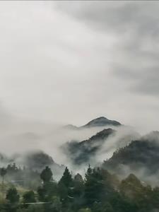 神秘复苏第一章
