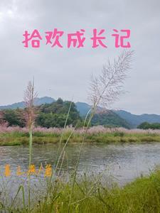 拾欢是谁