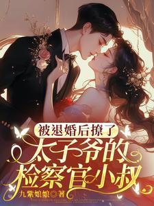被退婚后成了太子妃txt