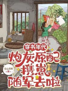 安婳肖政小说全文免费阅读