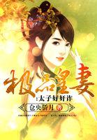 极品皇太子笔趣