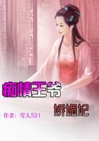 痴情爷宠逃妃