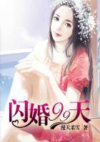 闪婚99天尊少的独宠新娘