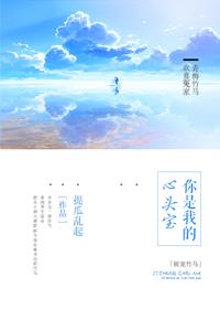 极宠 h