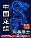 中国龙组一共有几部